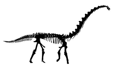 Rapetosaurus skeleton silhouette - high neck