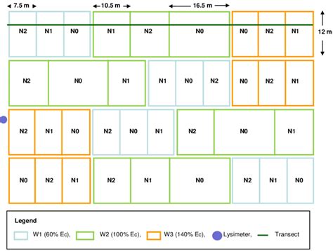 An illustration of the experimental layout of the melon crop experiment... | Download Scientific ...