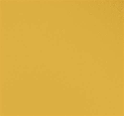 Mustard Yellow Paint Color | Paintcolor Ideas Whiter Than The Whitest