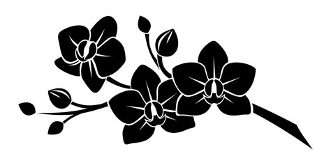 Free Orchid Clip Art Black And White, Download Free Orchid Clip Art Black And White png images ...
