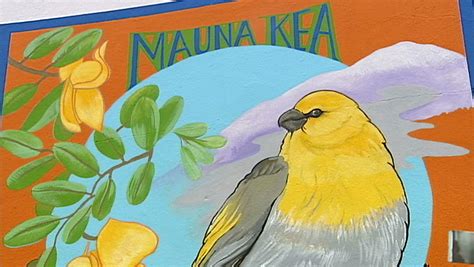 VIDEO: Palila mural celebrated in Downtown Hilo