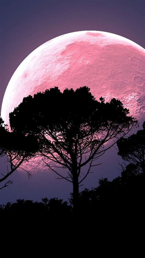 Romantic Full Moon Wallpaper | Wall Picker