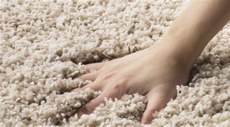 Twist Carpet Definition - Carpet Vidalondon