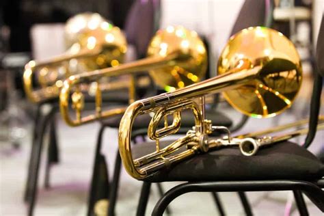 10 Different Types of Trombones (Plus Fun Facts)