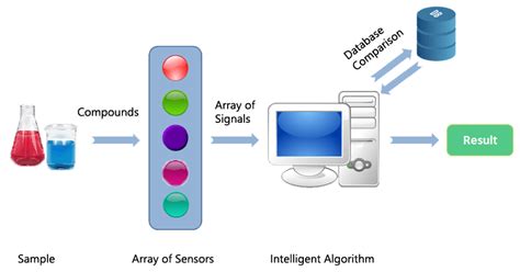 Is Electronic Nose better than Human Nose? | Techno Dossier