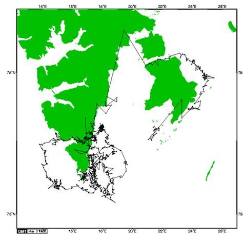 Polar bear migration between Hornsund and Storfjorden - The Cruise Handbook for Svalbard