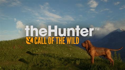 The hunter call of the wild dlc - patrolpassl