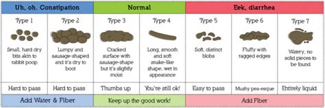 What Your Dog & Cat’s Stool Can Tell You – Herbsmith