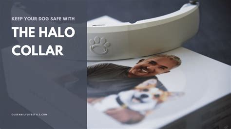 Keep Your Dog Safe with The Halo Collar by Cesar Millan