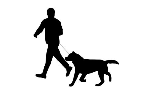 silhouette Man is walking dog together vector illustration concept ...