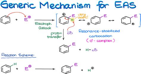 Electrophilic Aromatic Substitution (Halogenation, Nitration, Sulfonation) — Organic Chemistry Tutor