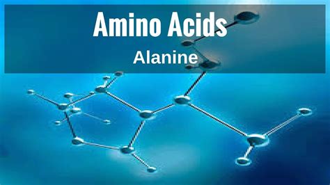 Amino Acids - Alanine - YouTube