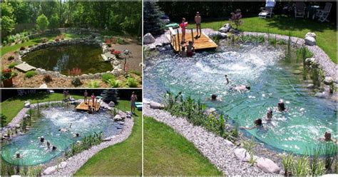 How Make An All-Natural Swimming Pond (Magical Outdoor DIY) | Natural ...