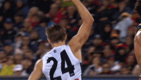 Celebration Goal GIF by CollingwoodFC - Find & Share on GIPHY