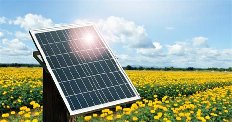 Solutions for Your Home or Business: Solar Power Companies near Me - The Solar Marketplace