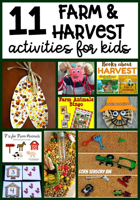 11 Farm and Harvest Activities for Kids | Harvest activities, Preschool harvest activities ...