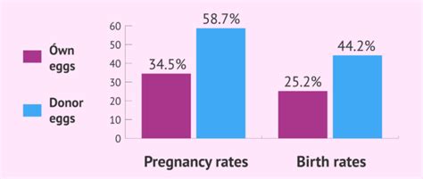 Success rates of IVF with own eggs vs donor eggs