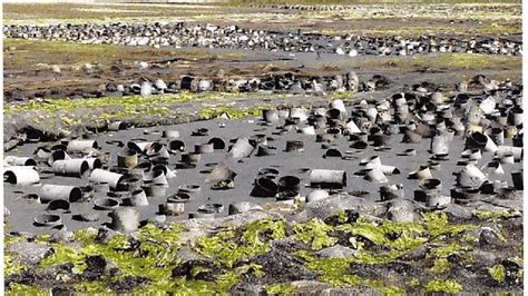 Petition · stop geoduck farming on our coast - Canada · Change.org