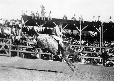 The Texas Prison Rodeo – Angora Chronicles