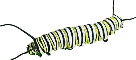 The Very Hungry Caterpillar Clip art - caterpillar png download - 1597*712 - Free Transparent ...