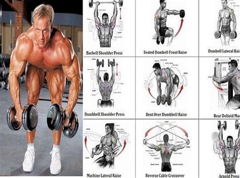 Seated Shoulder Workouts | Best shoulder workout, Shoulder workout ...