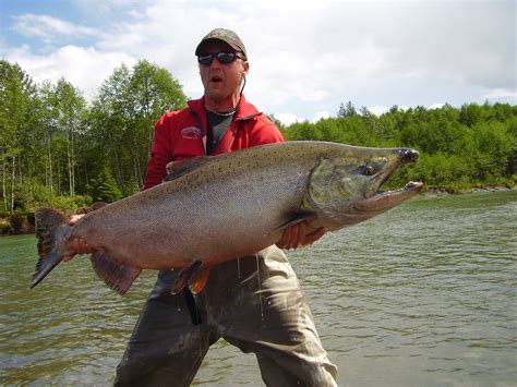 Skeena river fishing guides for Salmon & Steelhead: Salmon fishing guides