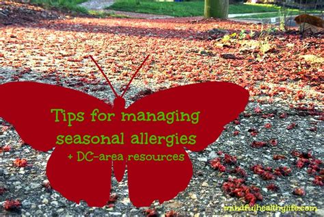 Natural Tips for Allergy Season in DC Metro -Mindful Healthy Life