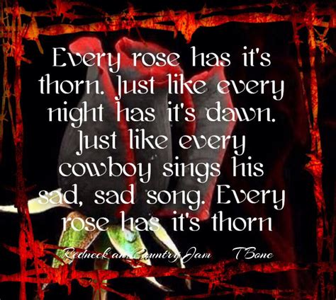 Poison Every Rose Has Its Thorn Lyrics