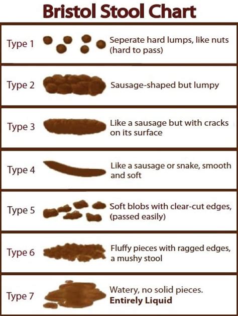 [DIAGRAM] Normal Poop Diagram - MYDIAGRAM.ONLINE