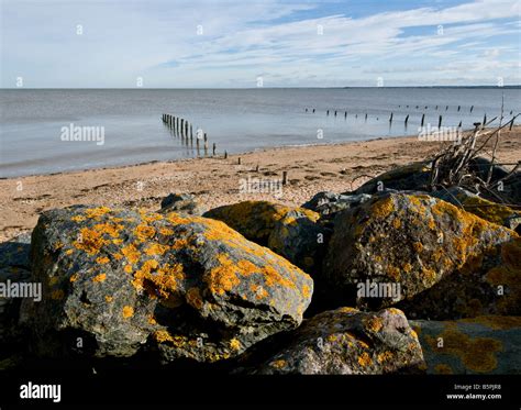 Leysdown on sea on the isle of sheppey hi-res stock photography and ...