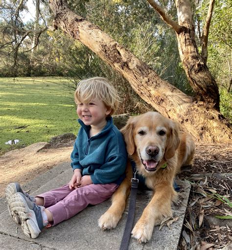 Fun Tools to Help Build Bonds Between Children and Dogs - Cooperandkids