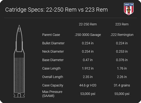 22-250 vs 223: Hunting Caliber Comparison by Ammo.com