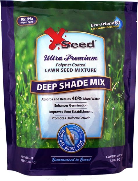 The 10 Best Grass Seeds for Shade of 2023 - Best Garden Tips