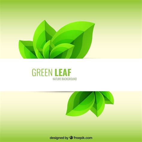 Free Vector | Green leaf background