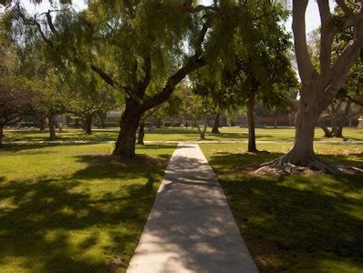 All 90 majors at California State University, Long Beach | Long Beach ...