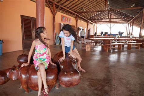 Aruba Ostrich Farm: A Family-Friendly Aruba Excursion | When in Aruba