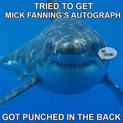 Mick Fanning Shark Attack Memes