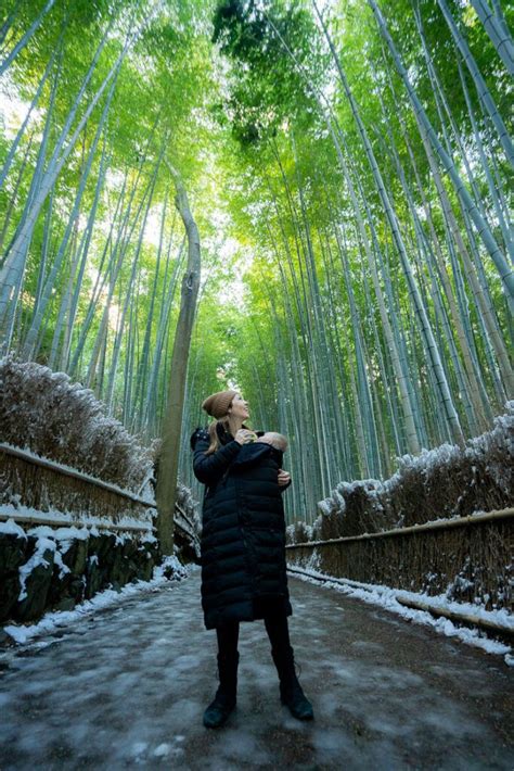 The Ultimate Japan Winter Itinerary (2 Weeks, 4 Cities) - Be My Travel Muse