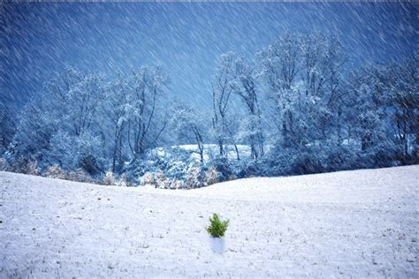 🔥 [50+] Winter Storm Wallpapers | WallpaperSafari