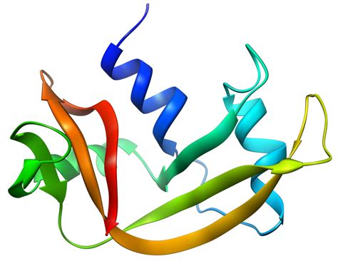 RNase 1 Archives - Promega Connections