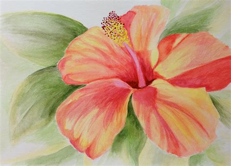 Hibiscus Flower painting watercolor painting original