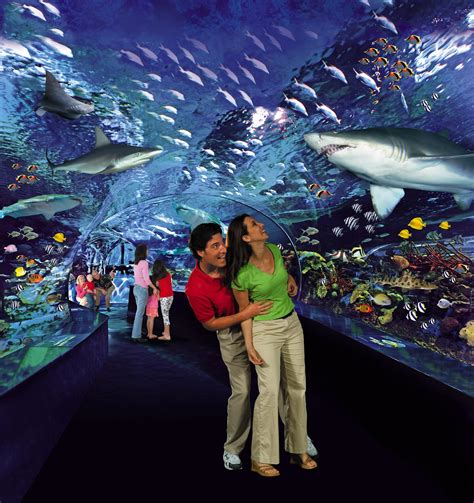 Never Fear: Top Indoor Attractions in Myrtle Beach - Caribbean Resort ...