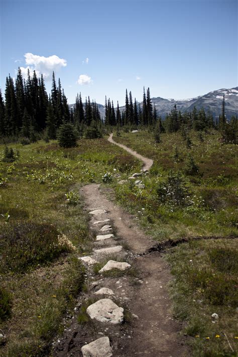 Blackcomb Alpine Hiking Trails | Vancouver Trails