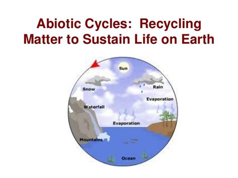 Abiotic cycles