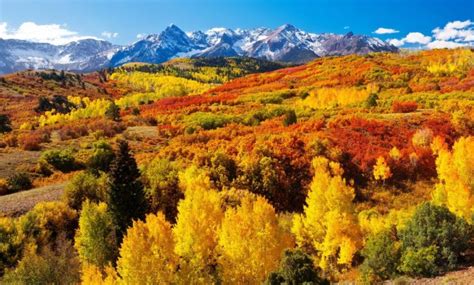 What to Know Before Seeing Fall Colors at Colorado State Parks - 24ssports