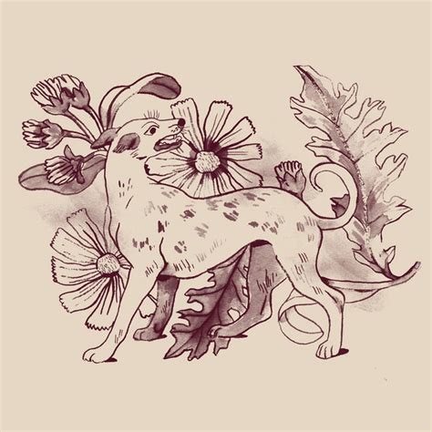 Ink drawings on Behance | Drawings, Animal art, Illustration art