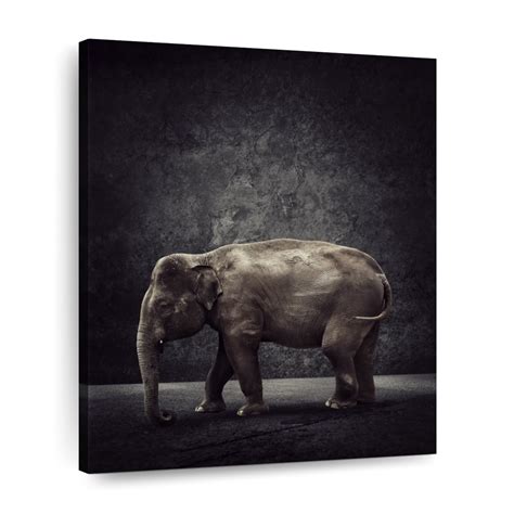 Large Indian Elephant Wall Art | Photography