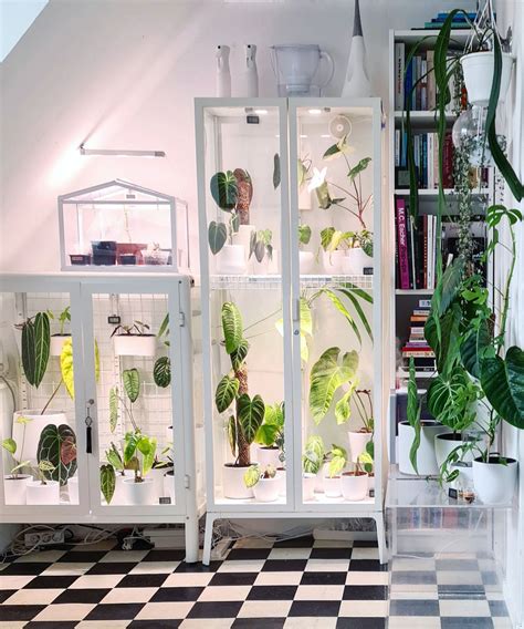 The IKEA greenhouse cabinet is the ultimate IKEA hack for plant lovers ...