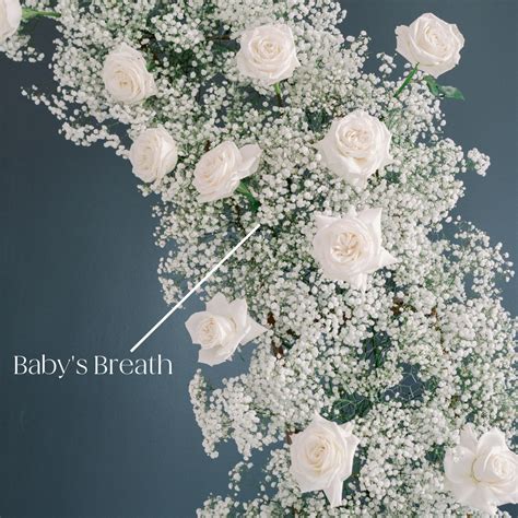 Baby's Breath Flowers | DIY Wedding Flowers | Flower Moxie