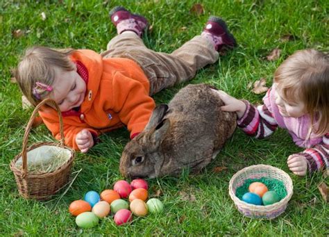 Easter in Germany: The very deutsch origins of the Easter Bunny - The Local